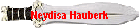 Neydisa Hauberk